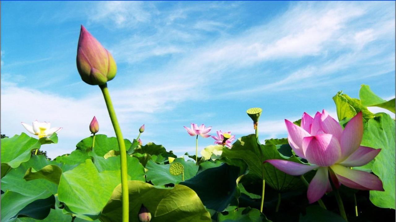 Trang An Retreat Villa Ninh Binh Bagian luar foto