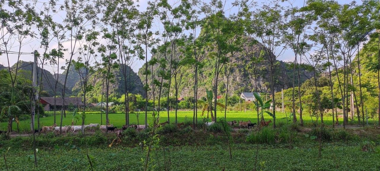 Trang An Retreat Villa Ninh Binh Bagian luar foto